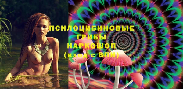 2c-b Козловка