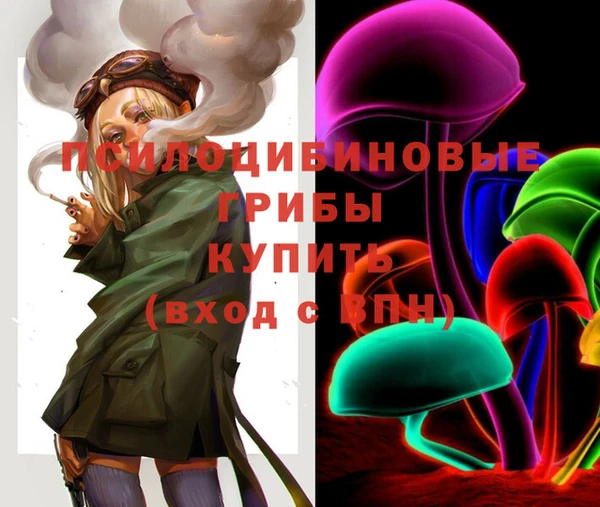 2c-b Козловка