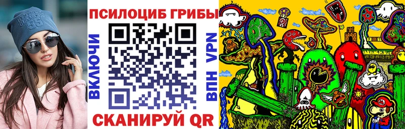 Псилоцибиновые грибы Psilocybe  Купить где  Калач-на-Дону 