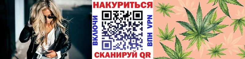 Купить где  Калач-на-Дону  Конопля тримм 